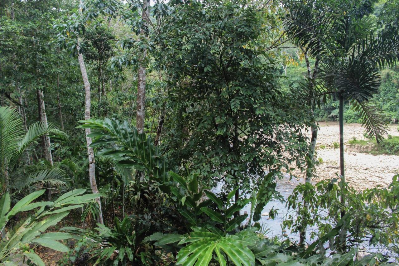Chirapa Manta Amazon Lodge Lamas Buitenkant foto
