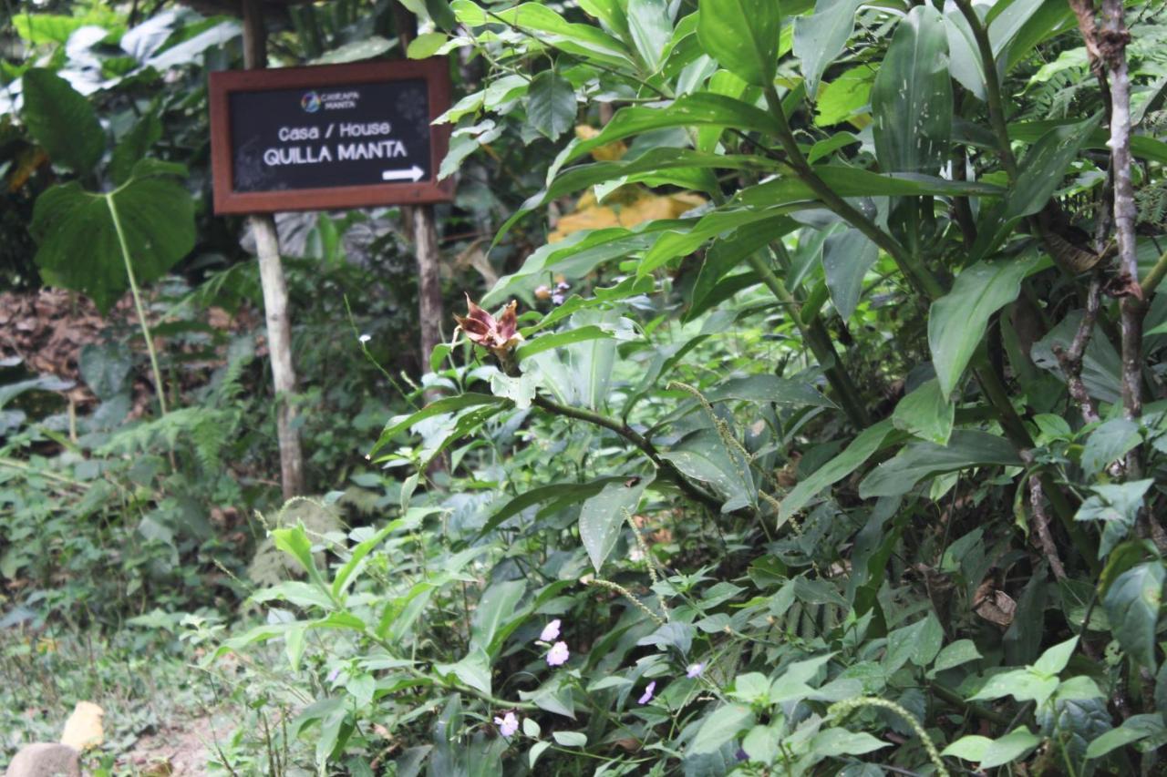 Chirapa Manta Amazon Lodge Lamas Buitenkant foto